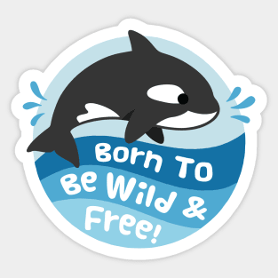 Cute Orca, Born To Be Wild And Free Sticker